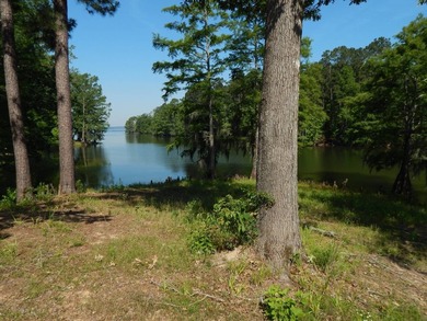 Come build your dream lakehouse in this restricted prestigious - photo 7