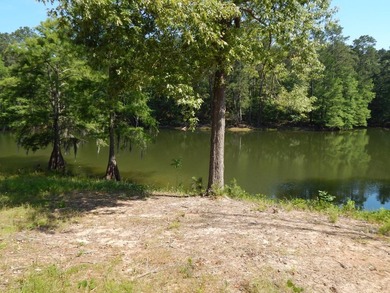 Come build your dream lakehouse in this restricted prestigious - photo 8