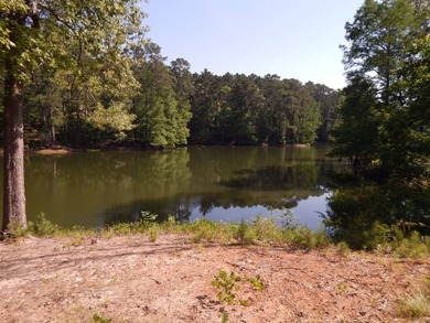 Come build your dream lakehouse in this restricted prestigious - photo 9