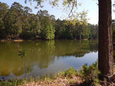Come build your dream lakehouse in this restricted prestigious - photo 10