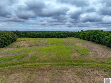 This hunting tract in Calloway County, Kentucky offers an - photo 11
