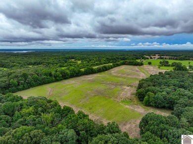 This hunting tract in Calloway County, Kentucky offers an - photo 15