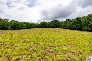 This hunting tract in Calloway County, Kentucky offers an - photo 16