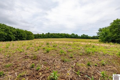 This hunting tract in Calloway County, Kentucky offers an - photo 17