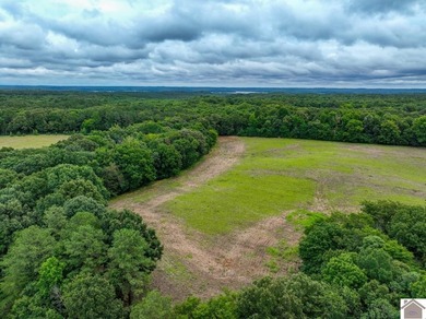 This hunting tract in Calloway County, Kentucky offers an - photo 18