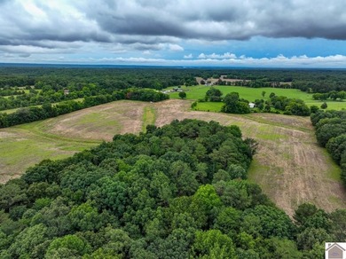 This hunting tract in Calloway County, Kentucky offers an - photo 19