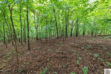 This hunting tract in Calloway County, Kentucky offers an - photo 21