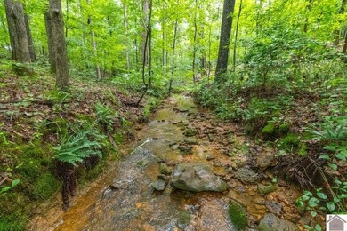 This hunting tract in Calloway County, Kentucky offers an - photo 23