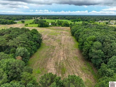 This hunting tract in Calloway County, Kentucky offers an - photo 26
