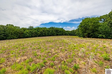 This hunting tract in Calloway County, Kentucky offers an - photo 29