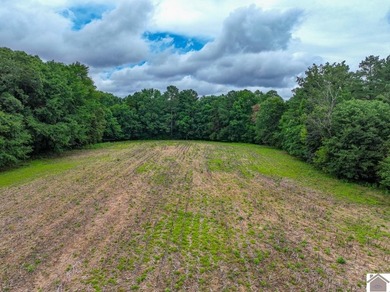 This hunting tract in Calloway County, Kentucky offers an - photo 30