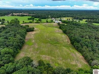 This hunting tract in Calloway County, Kentucky offers an - photo 31