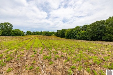 This hunting tract in Calloway County, Kentucky offers an - photo 32