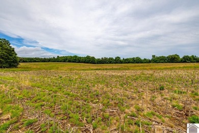 This hunting tract in Calloway County, Kentucky offers an - photo 33