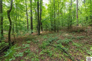 This hunting tract in Calloway County, Kentucky offers an - photo 36