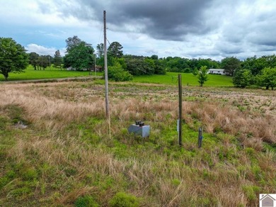 This hunting tract in Calloway County, Kentucky offers an - photo 40