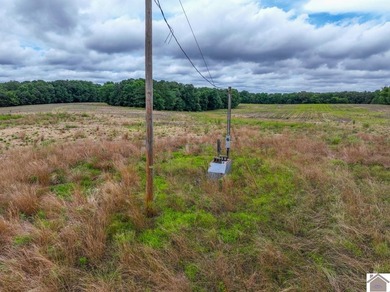 This hunting tract in Calloway County, Kentucky offers an - photo 41