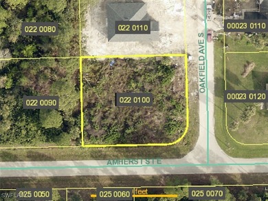 Lehigh Acres Area Lot For Sale in Lehigh Acres Florida