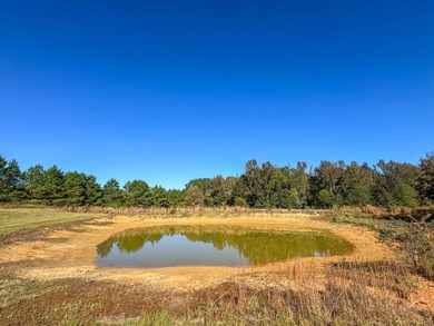 Country living at its finest unfolds across this breathtaking - photo 41