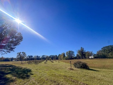 Country living at its finest unfolds across this breathtaking - photo 42