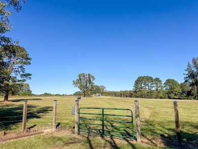 Country living at its finest unfolds across this breathtaking - photo 45