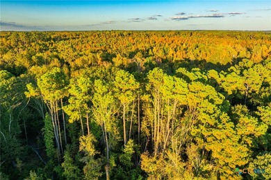 Lake Palestine Ranch is a rare offering, being the largest - photo 7