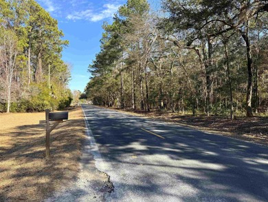 Prime Edisto Island opportunity! This 1.07-acre cleared vacant - photo 11