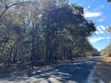 Prime Edisto Island opportunity! This 1.07-acre cleared vacant - photo 12