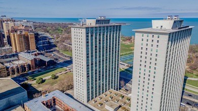 Lake Michigan - Cook County Condo For Sale in Chicago Illinois