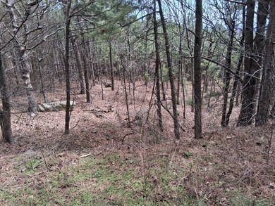 20 acres on WaterTower Rd that has electric, rural water, septic - photo 3