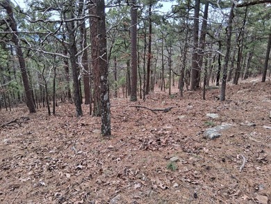 20 acres on WaterTower Rd that has electric, rural water, septic - photo 6