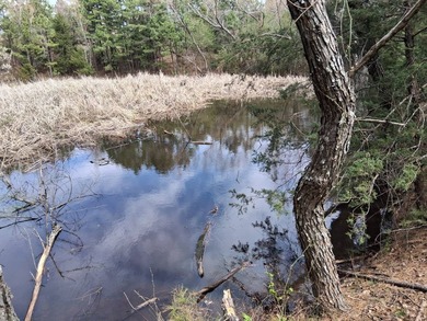 20 acres on WaterTower Rd that has electric, rural water, septic - photo 8