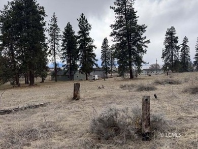 It is a gorgeous parcel with scenic Agency Lake views and packed - photo 12