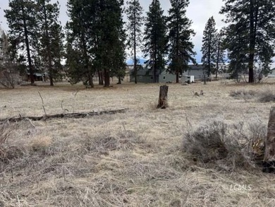 It is a gorgeous parcel with scenic Agency Lake views and packed - photo 13
