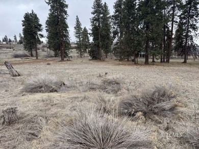 It is a gorgeous parcel with scenic Agency Lake views and packed - photo 17
