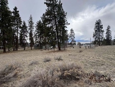 It is a gorgeous parcel with scenic Agency Lake views and packed - photo 22