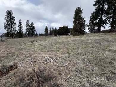 It is a gorgeous parcel with scenic Agency Lake views and packed - photo 23