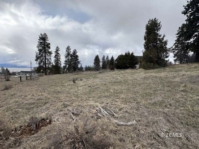 It is a gorgeous parcel with scenic Agency Lake views and packed - photo 25
