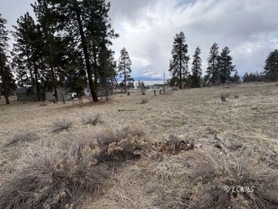 It is a gorgeous parcel with scenic Agency Lake views and packed - photo 27