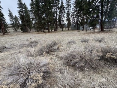 It is a gorgeous parcel with scenic Agency Lake views and packed - photo 29