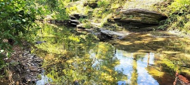 Broken Bow Lake Lot For Sale in Broken Bow Oklahoma