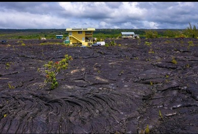 (private lake, pond, coastal) Lot For Sale in Pahoa Hawaii