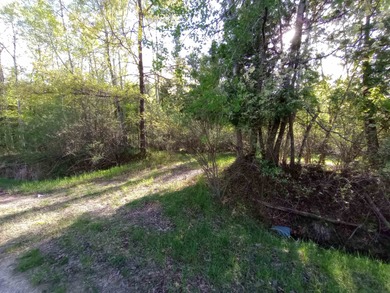 Lake Lancelot Lot For Sale in Gladwin Michigan