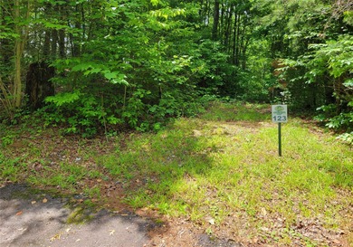 French Broad River - Madison County Acreage For Sale in Marshall North Carolina