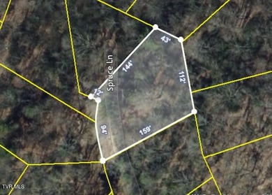 (private lake, pond, creek) Lot For Sale in Beech Mountain North Carolina