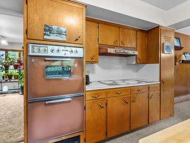 This well-built, one-owner 3-bedroom, 2-bath ranch features - photo 16