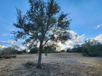 Lake Buchanan Lot For Sale in Burnet Texas