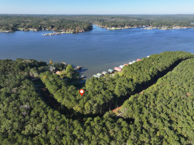 Lake Acreage For Sale in Pachuta, Mississippi