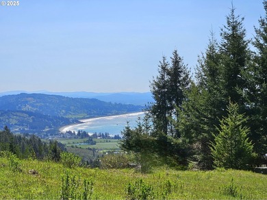 Spectacular Oceanview Acreage - No CC&Rs or HOA! Nestled along a - photo 2