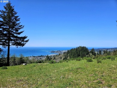 Spectacular Oceanview Acreage - No CC&Rs or HOA! Nestled along a - photo 3